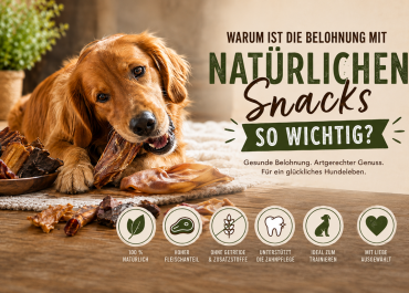 Warum ist die Belohnung mit natürlichen Snacks so wichtig?