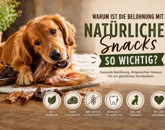 Warum ist die Belohnung mit natürlichen Snacks so wichtig?