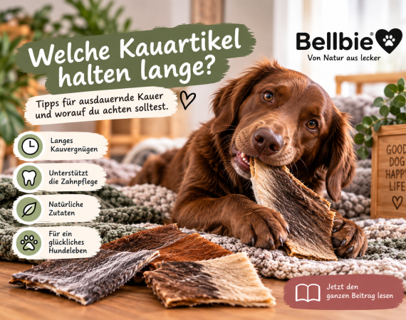 Welche Kauartikel halten lange? – Kauvergnügen für ausdauernde Kauer