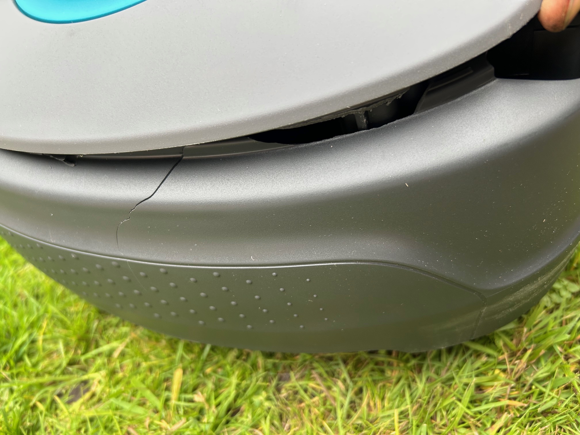 Lachshaut für Hunde & Katzen – Natürlicher Kauartikel mit Omega-3